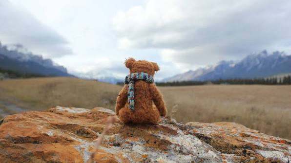 Teddy Background images